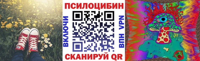 сайты даркнета формула  Кандалакша  Псилоцибиновые грибы Psilocybe 