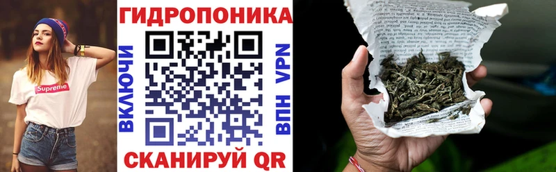 купить наркоту  Кандалакша  hydra маркетплейс  Бошки марихуана AK-47 